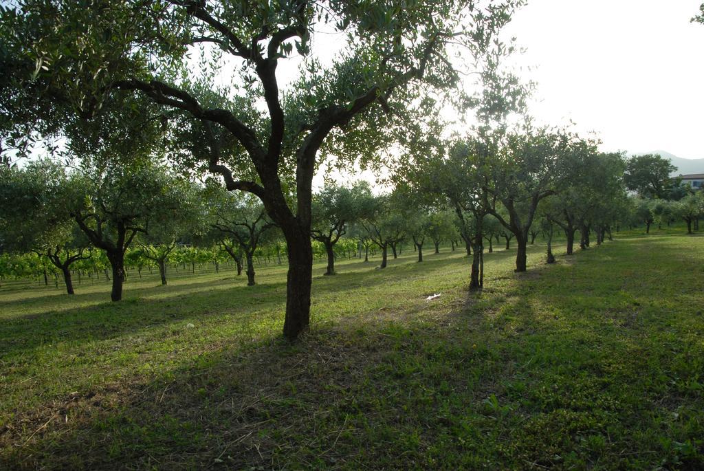 Tenuta Torellone San Potito Sannitico Zewnętrze zdjęcie